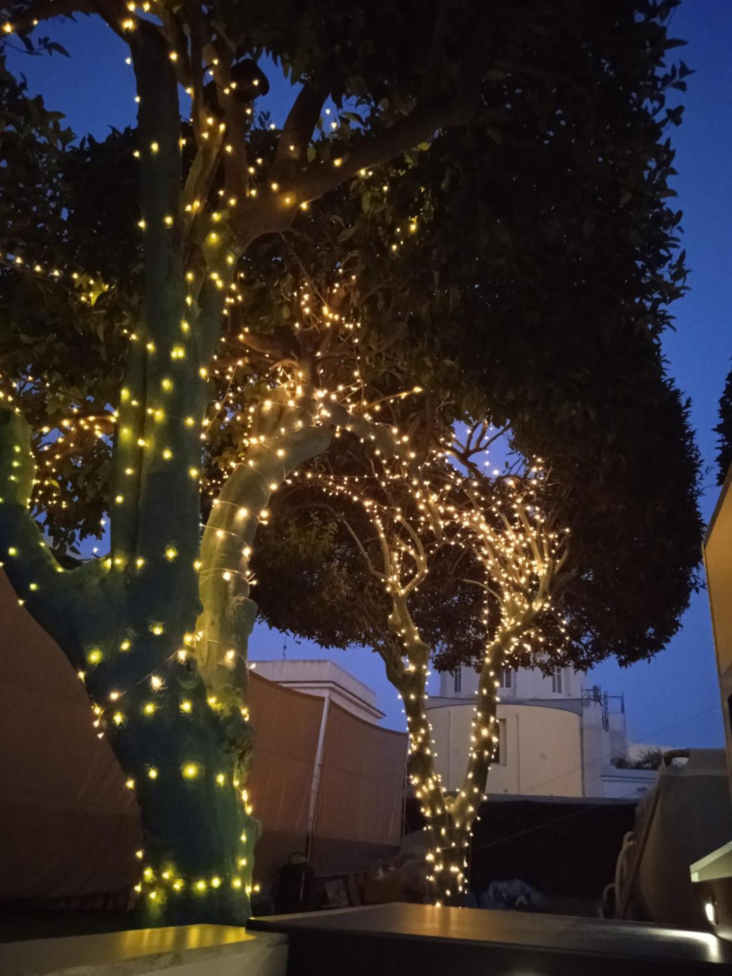 Casa Mika Hotel Procida Quarto foto